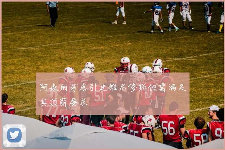 阿森纳考虑引进维尼修斯但需满足其顶薪要求