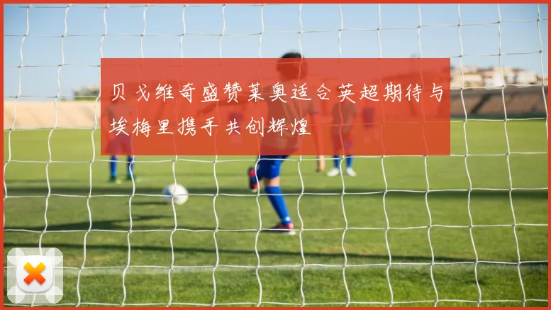 贝戈维奇盛赞莱奥适合英超期待与埃梅里携手共创辉煌